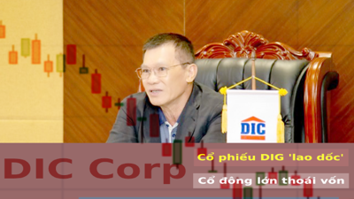 DIC Corp: Cổ phiếu DIG ‘nằm sàn’ nhiều phiên liên tiếp, cổ đông lớn liên tục thoái vốn, vốn hóa bốc hơi hơn 44.000 tỷ đồng chỉ sau 5 tháng