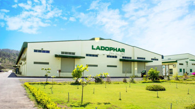 Ladophar hủy phương án phát hành riêng lẻ cho Louis Holdings, thay máu loạt lãnh đạo
