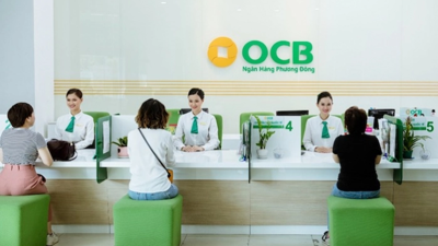 OCB triển khai tăng vốn điều lệ thêm hơn 4.100 tỷ đồng, phát hành 413 triệu cổ phiếu thưởng