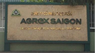 Vi phạm công bố thông tin báo cáo tài chính, Agrex Sài Gòn (AGX) bị xử phạt