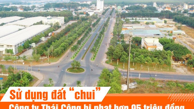 Sử dụng đất “chui”, công ty Thái Công bị phạt hơn 95 triệu đồng