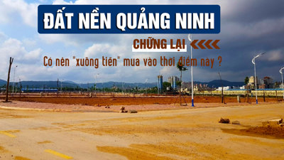 Đất nền Quảng Ninh đang "chững lại", nhà đầu tư có nên “xuống tiền” mua vào thời điểm này?