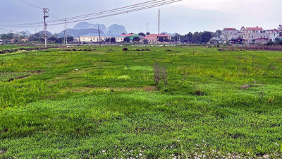 Ninh Bình: Dự án Khu dân cư Cầu Chẹm sau 2 lần gia hạn vẫn 'bất động'