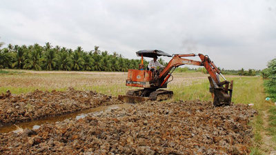 TPHCM chuyển mục đích sử dụng hàng ngàn ha đất trồng lúa làm dự án bất động sản