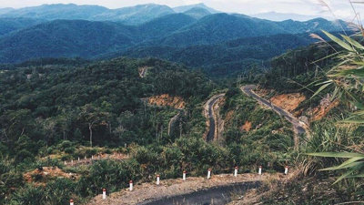 HĐND tỉnh Khánh Hòa được Thủ tướng ủy quyền chuyển mục đích sử dụng rừng dưới 1.000ha