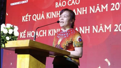 Truy tố cựu Chủ tịch Vimedimex Nguyễn Thị Loan vì dìm giá, thâu tóm 49.000m2 đất