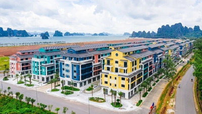 Gia hạn thời gian thuê 9,5ha đất tại Vân Đồn cho CEO Group