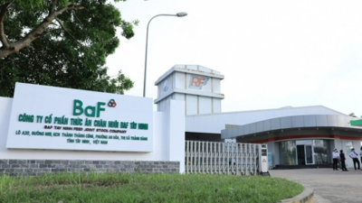 BaF Việt Nam (BAF) sắp sở hữu thêm công ty chăn nuôi lợn ở Tây Ninh