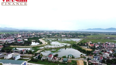 Hà Tĩnh tìm nhà đầu tư khu đô thị gần 2.000 tỷ đồng ở Thạch Trung và Thạch Hà