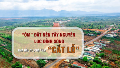 "Ôm" đất nền Tây Nguyên lúc đỉnh sóng, nhà đầu tư chật vật "cắt lỗ"