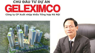 Lợi nhuận Geleximco sụt giảm 86%, dư nợ trái phiếu hơn 4100 tỷ đồng 