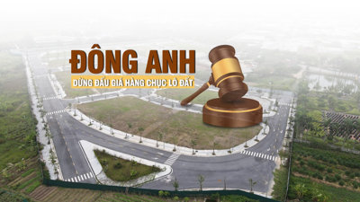 Huyện Đông Anh lại dừng đấu giá đất trước phiên