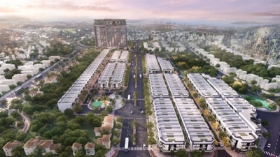 Nợ thuế hơn 10,8 tỷ đồng, Đầu tư tài sản Koji bị cưỡng chế tài khoản
