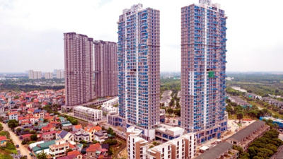 Sự cô đặc của thị trường nhà ở bán niên 2023