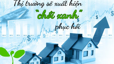 Hết thời kỳ khó khăn, thị trường bất động sản sẽ có “chồi xanh”