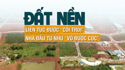 Đất nền liên tục được “cởi trói”, nhà đầu tư như “vớ được cọc”