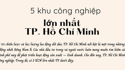 [Infographic] Top 5 KCN lớn nhất TP. Hồ Chí Minh
