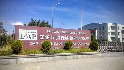 Kỷ lục buồn của DAP – VINACHEM: Lợi nhuận giảm 99,66%