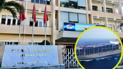 Nhận diện Wan Hai Lines, cổ đông lớn đầu tư 200 tỷ vào Cảng Đà Nẵng