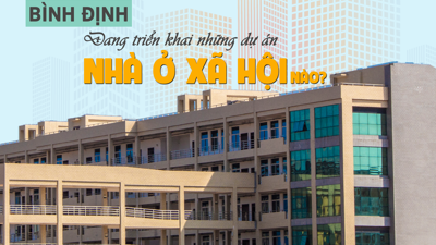 [Infographic] Bình Định đang triển khai những dự án nhà ở xã hội nào?