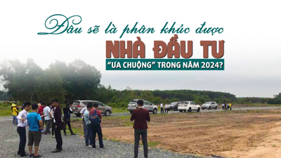 Đâu sẽ là phân khúc được nhà đầu tư "ưa chuộng" trong năm 2024?