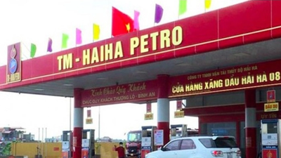 Nợ 1.800 tỷ tiền thuế, lãnh đạo Hải Hà Petro bị cấm xuất cảnh