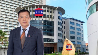 Vừa giải thể 3 đơn vị, DIC Corp (DIG) lại muốn góp vốn vào một công ty thi công nội thất