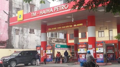 Chân dung 'bà trùm' Trần Tuyết Mai, Chủ tịch Hải Hà Petro vừa bị bắt