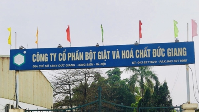 Hoá chất Đức Giang: Doanh thu và lợi nhuận suy giảm, tổng nợ phình to