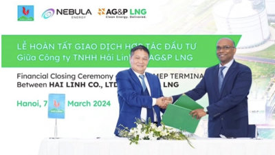 Đại gia Lê Văn Tám bán 49% cổ phần kho cảng LNG Cái Mép cho DN Mỹ