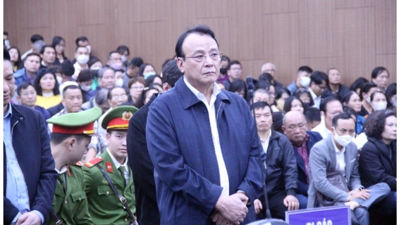Viện Kiểm sát đề nghị giảm nhẹ mức án cho bố con Chủ tịch Tân Hoàng Minh