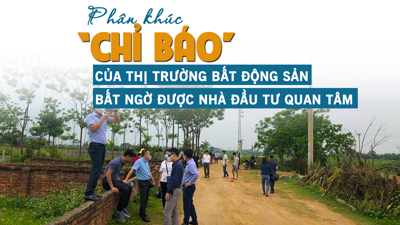 Phân khúc “chỉ báo” của thị trường bất động sản bất ngờ được nhà đầu tư quan tâm