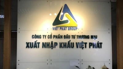 Xuất nhập khẩu Việt Phát bị cưỡng chế thuế 4,3 tỷ đồng