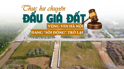 Thực hư chuyện đấu giá đất vùng ven Hà Nội đang “sôi động” trở lại