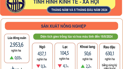 Tình hình kinh tế - xã hội 5 tháng