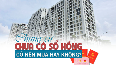 Chung cư chưa có sổ hồng: Có nên mua hay không?