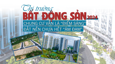 Thị trường bất động sản 2024: Chung cư vẫn là “điểm sáng”, đất nền chưa hết ảm đạm