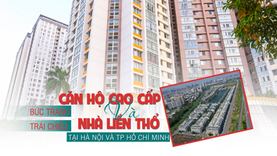 Bức tranh trái chiều của căn hộ cao cấp và nhà liền thổ tại Hà Nội và TP Hồ Chí Minh