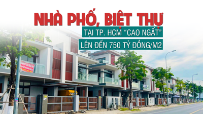 Giá nhà phố, biệt thự tại TP Hồ Chí Minh “cao ngất”, lên đến 750 tỷ đồng/căn?