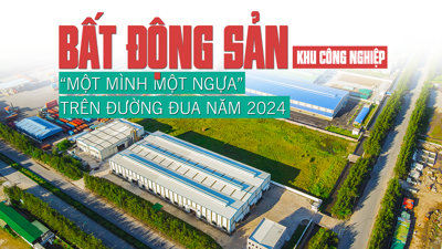 Bất động sản Khu công nghiệp: “Một mình một ngựa” trên đường đua năm 2024