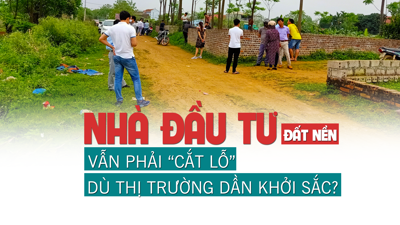 Nhà đầu tư đất nền vẫn “cắt lỗ” để thoát hàng dù thị trường dần khởi sắc?