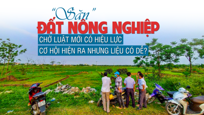 “Săn” đất nông nghiệp chờ đợi Luật mới: Cơ hội hiện ra nhưng liệu có dễ?