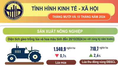 Tình hình kinh tế - xã hội 10 tháng