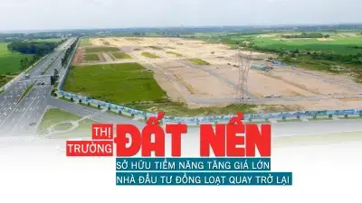 Thị trường đất nền: Sở hữu tiềm năng tăng giá, nhà đầu tư đồng loạt quay trở lại