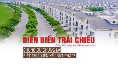 Diễn biến trái chiều trên thị trường bất động sản: Chung cư chững lại, biệt thự, liền kề bứt phá mạnh