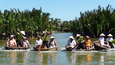 Quảng Nam muốn chuyển đổi 1ha rừng dừa lấy đô thị: Băn khoăn