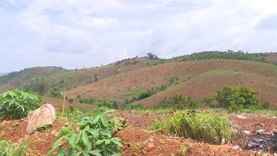 Đắk Nông: Bổ sung 24 dự án cần thu hồi đất, chuyển mục đích sử dụng đất