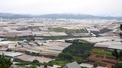 Lâm Đồng: Dự án Khu Công nghiệp – Nông nghiệp Tân Phú “chết yểu” do không có nhà đầu tư 