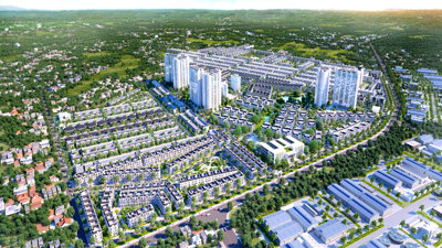 ĐẠI PHƯỚC MOLITA