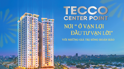 TECCO CENTER POINT